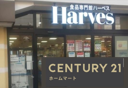 新築戸建 一戸建て東本町２（近鉄八尾駅） 4290万円の詳細情報 大阪府八尾市東本町２ 写真23 センチュリー21ホームマート